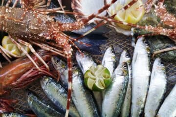 ETEN UIT DE ATLANTISCHE OCEAAN IN DE ALGARVE