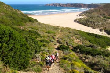 O QUE FAZ A AGARVE TÃO POPULAR?
